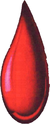 donatori di sangue